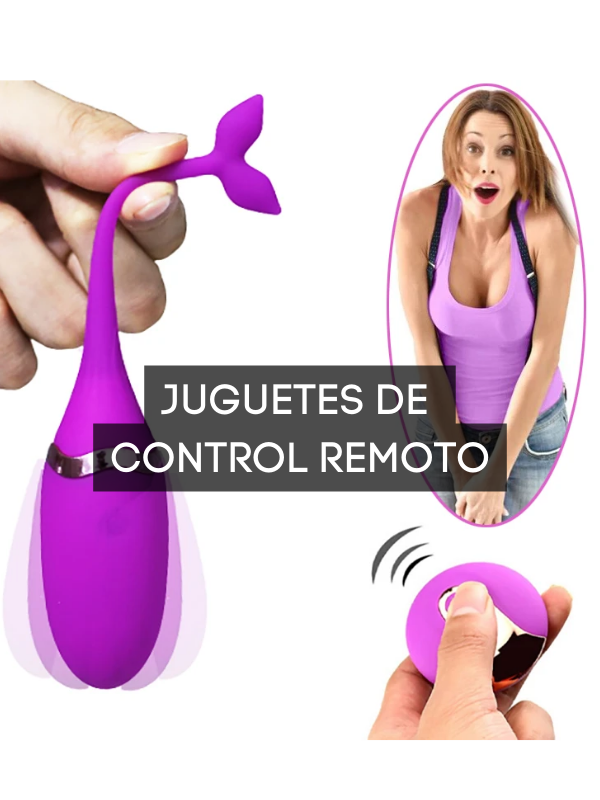 CONTROL REMOTO